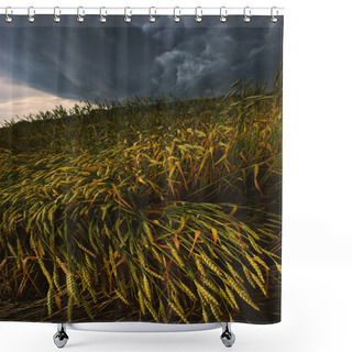 Personality  Wheaten Field Shower Curtains