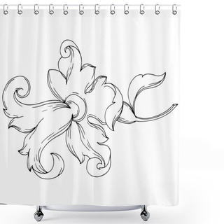Personality  Vector Baroque Monogram Floral Ornament. Black And White Engraved Ink Art. Isolated Ornaments Illustration Element. Shower Curtains