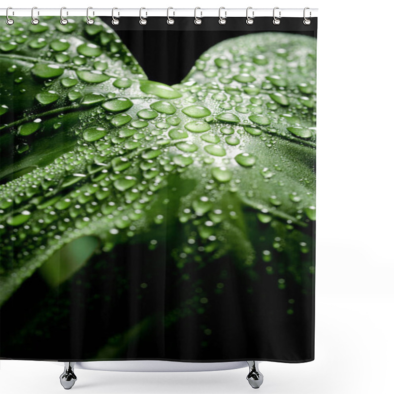 Personality  Close-up Of A Monstera Leaf With Dew Drops Shower Curtains