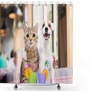 Personality  Dog Jack Russell Terrier And Cat Hugging Each Other In The Cafe Shower Curtains