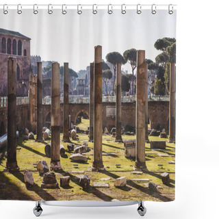 Personality  Beautiful Roman Forum Ruins, Rome, Italy Shower Curtains