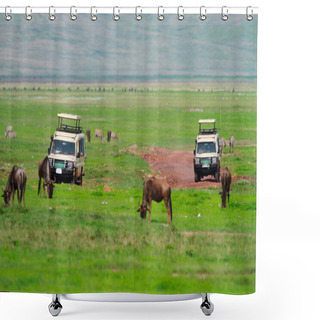 Personality  Game Drive Shower Curtains