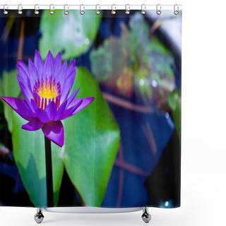 Personality  Purple Lotus From Thailand Shower Curtains