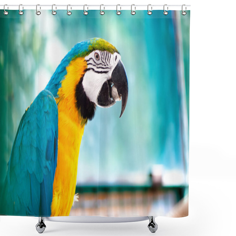 Personality  Macaw Parrot In The Wild Jungle Eating And Smiling At Camera Shower Curtains