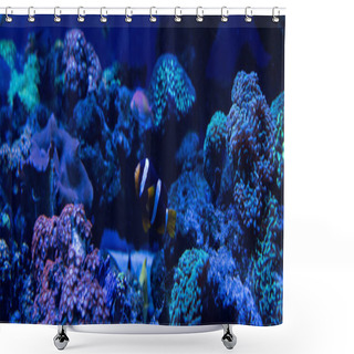 Personality  Fish Swimming Under Water In Aquarium With Corals, Panoramic Shot Shower Curtains
