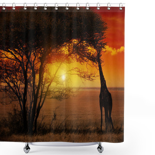 Personality  Africa Sunset Shower Curtains