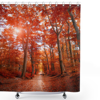 Personality  Pathway Through The Autumn Park Unde Sunlight Shower Curtains