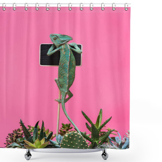 Personality  Funny Chameleon Crawling On Blank Board Isolated On Pink Shower Curtains