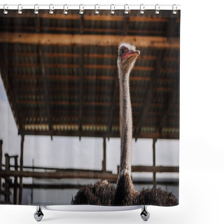 Personality  Low Angle View Of Ostrich Standing Against Ceiling Of Corral At Zoo Shower Curtains