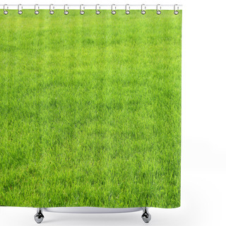 Personality  Green Grass On Lawn. Stadium Grass. Trimmed Lawn Grass Shower Curtains