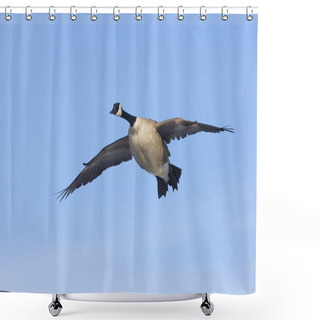 Personality  Landing Goose Shower Curtains