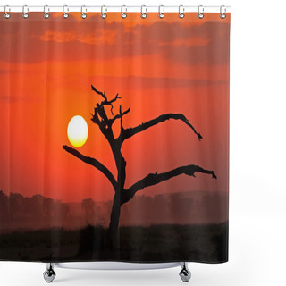 Personality  Sunset With Silhouetted Tree Shower Curtains