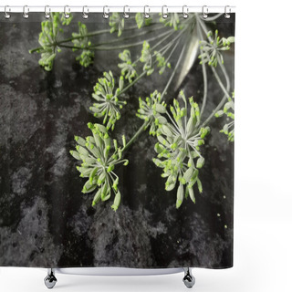 Personality  Indian Fresh Green Sweet  Raw Fennel Seed Shower Curtains