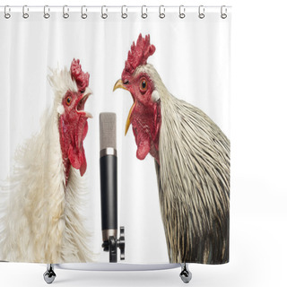 Personality  Two Roosters Singing At A Microphone, Isolated On White Shower Curtains