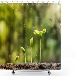 Personality  Trees Growing On Fertile Soil Shower Curtains