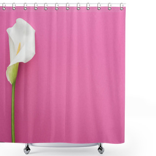 Personality  Beautiful Calla Lily With White Petal On Pink Background Shower Curtains