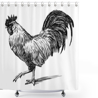 Personality  Pedigreed Cock Shower Curtains