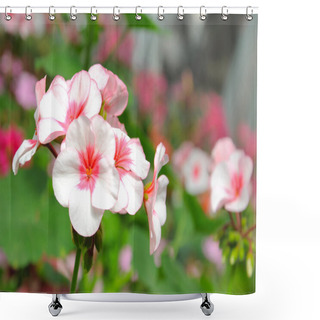 Personality  Pink Flora Blossom In The Garden Shower Curtains