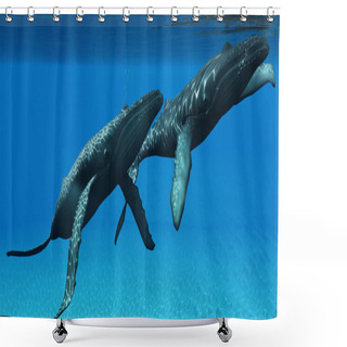 Personality  Humpback Whales Surfacing Shower Curtains