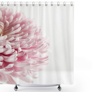 Personality  Close Up View Of Pink Chrysanthemum Isolated On White Shower Curtains