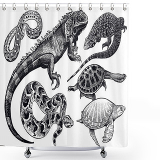 Personality  Lizards, Snakes And Turtles Set. Isolated Black Sketch On White  Shower Curtains