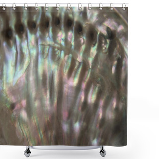 Personality  Colorful Nacre Closeup Shower Curtains