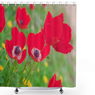 Personality  Closeup On Red Anemones Over Green Shower Curtains
