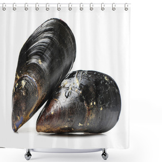 Personality  Fresh Mussels On White Shower Curtains