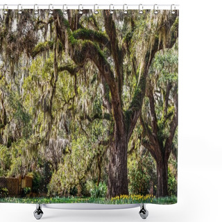 Personality  Spring In The South Shower Curtains