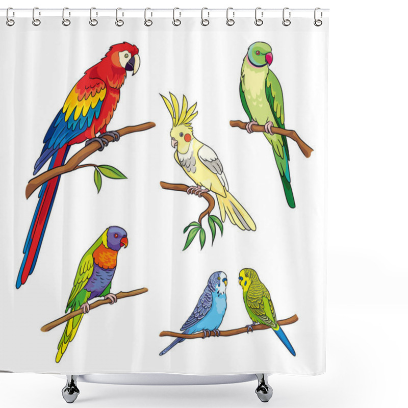 Personality  Different Parrots - Vector Illustration Shower Curtains