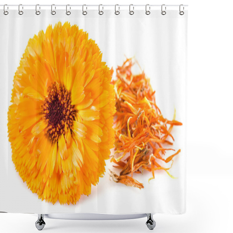 Personality  Calendula flowers on the white background. shower curtains