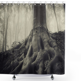 Personality  Roots Of An Old Tree In A Dark Misty Forest Shower Curtains