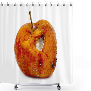 Personality  Spoiled Rotten Apple Shower Curtains