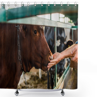 Personality  Selective Focus Of Rancher Touching Brown Cow In Cowshed, Cropped Veiw Shower Curtains