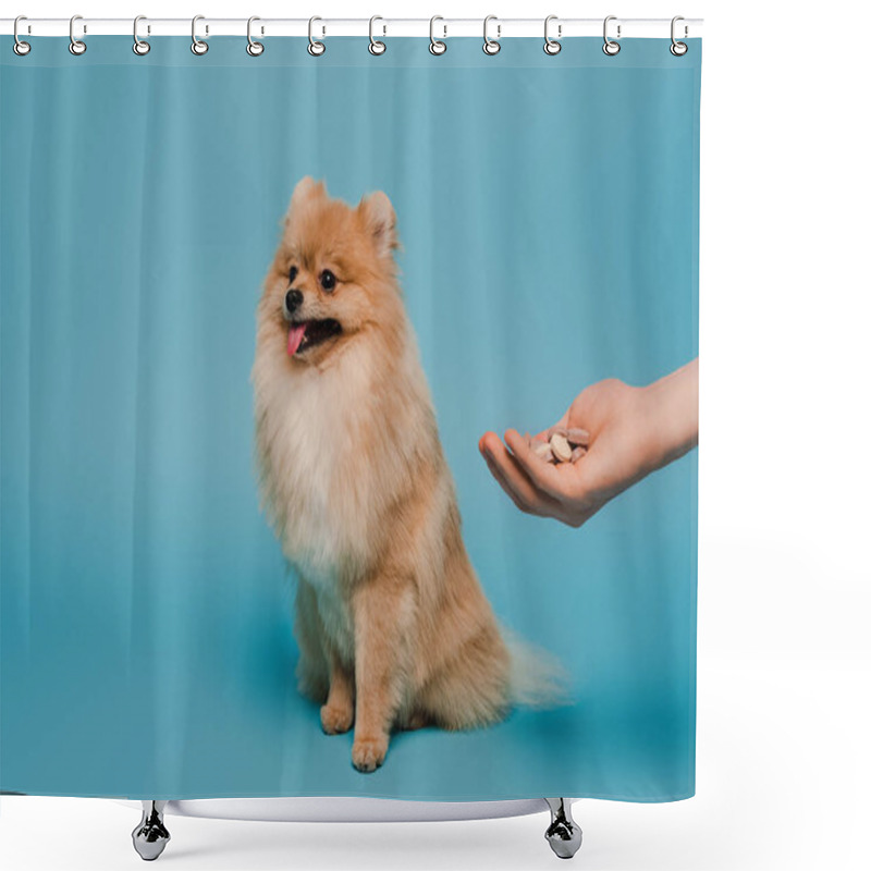 Personality  Cropped View Of Woman Holding Tablets In Hand Near Fluffy Pomeranian Spitz Dog On Blue Shower Curtains