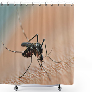 Personality  Mosquito Sucking Shower Curtains