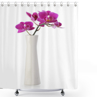 Personality  Pink Orchid Flower In White Vase Shower Curtains