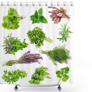 Personality  Set Of Aromatic Herbs And Spices   Shower Curtains