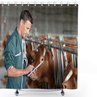 Personality  Cow Breeder Using Touchpad Inside The Barn Shower Curtains