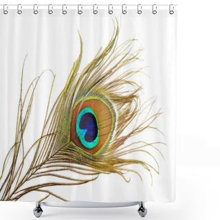 Personality  Peacock Feather Shower Curtains