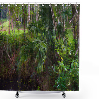 Personality  Jungle In Vietnam Shower Curtains