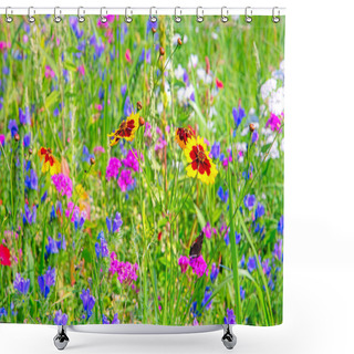 Personality  Beautiful Background Of A Summer Meadow With Wildflowers Shower Curtains