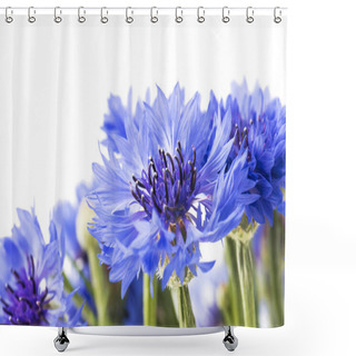 Personality  Bouquet Of Blue Cornflowers Isolated On White Background. Selective Focus Shower Curtains
