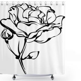 Personality  White Roses In Bud On A White Background Shower Curtains