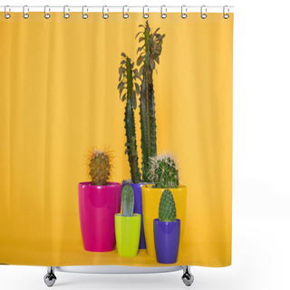 Personality  Beautiful Green Succulents With Thorns In Colorful Pots Isolated On Yellow  Shower Curtains