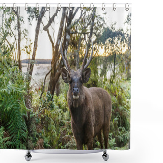 Personality  Deer Shower Curtains