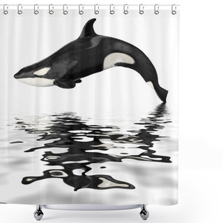 Personality  Isolated Killer Whale With Reflection Shower Curtains