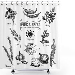 Personality  Vector Hand Drawn Set With Culinary Herbs And Spices.  Shower Curtains