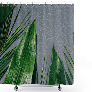 Personality  Flat Lay With Assorted Green Foliage With Water Drops On Grey Backdrop Shower Curtains