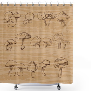 Personality  Set Of Hand-drawn Vintage Mushrooms. Vector Illustration Shower Curtains